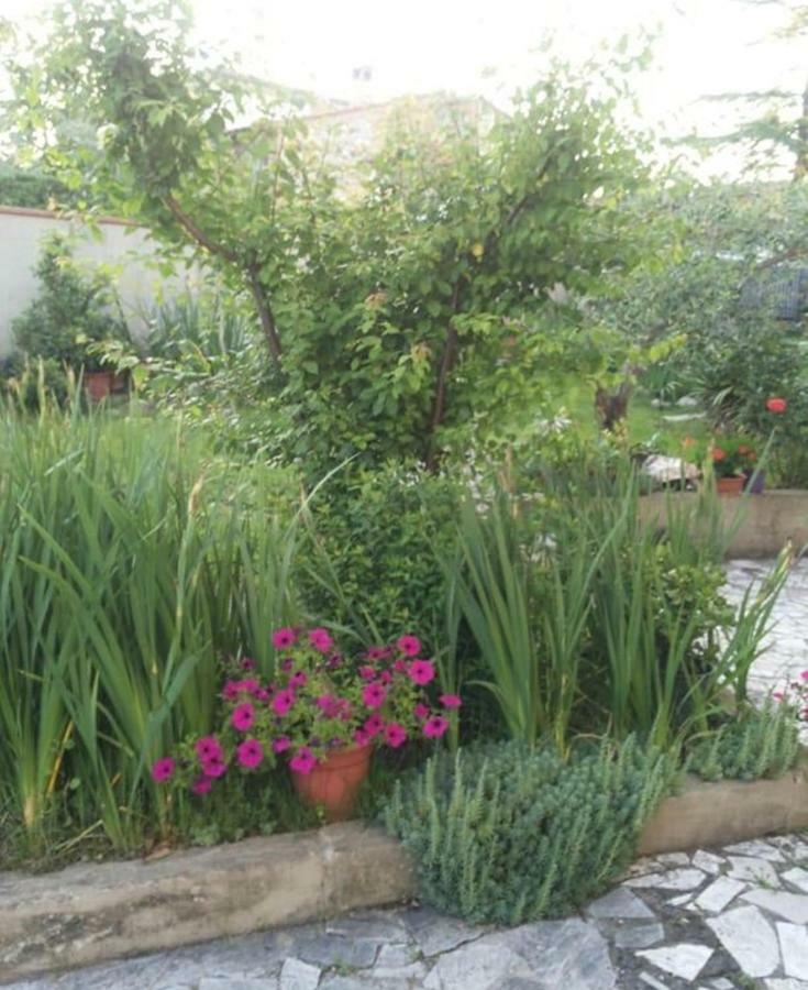 Appartamento la terrazza del silenzio Fattoria Spedaletto Esterno foto